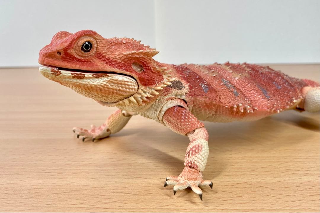 いきもの大図鑑プレミアム　フトアゴヒゲトカゲ（レッド）