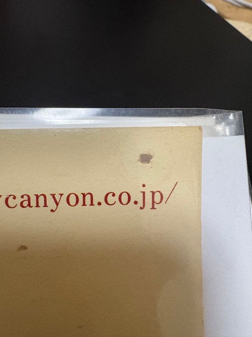 aiko 桜の木の下　B2ポスター　ミニポスター