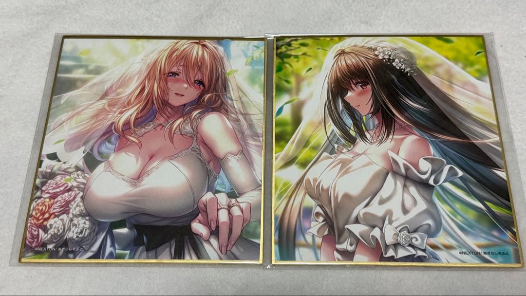 アマカノ2 コラボカフェ限定色紙ウェディングドレス　絶版　軸中心派缶バッジ付き