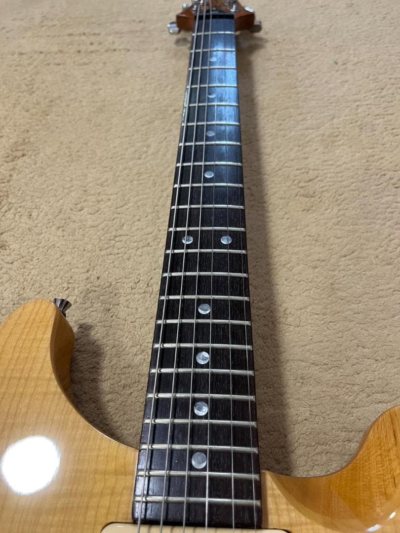 【希少】PRS SE Cnstom 22 セミホロウ　P-90タイプ