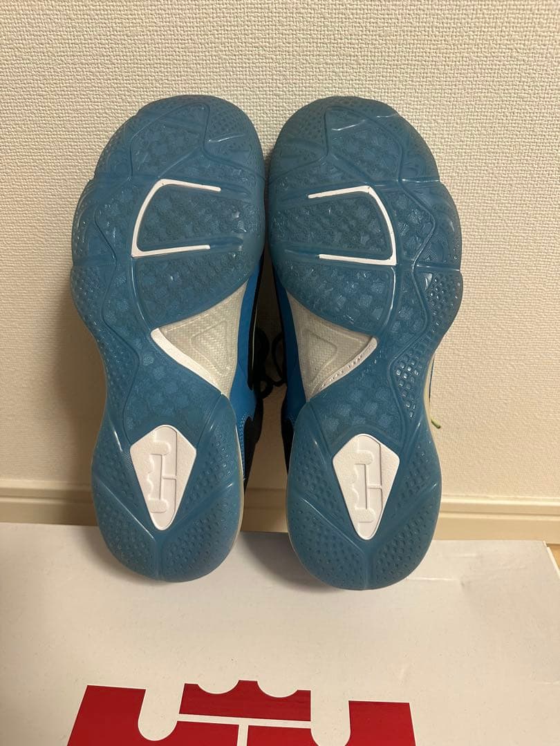 NIKE LEBRON IX ナイキ　レブロン9